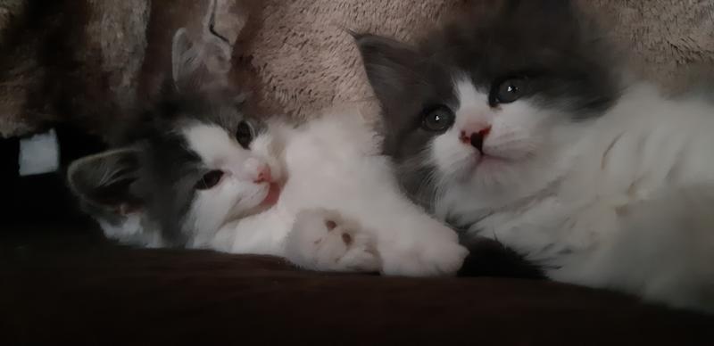 We really are just cuddling.