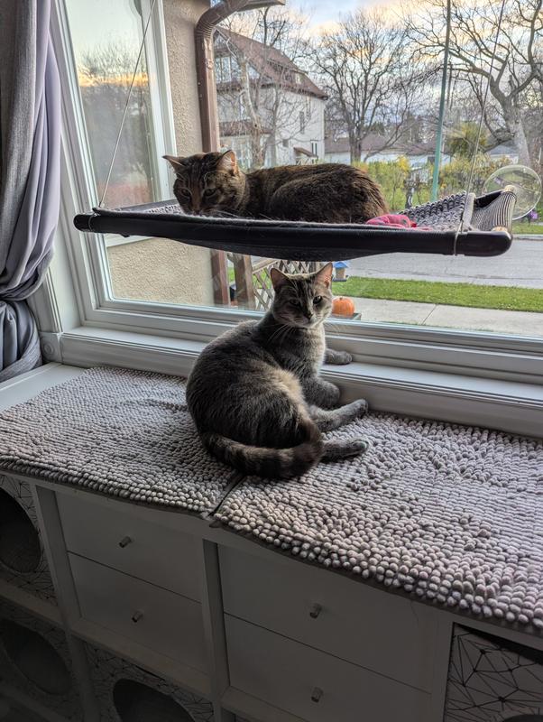 Gracie and Sebastian