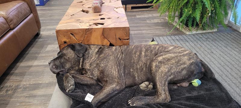 Lovin my Lil brother's  bed....