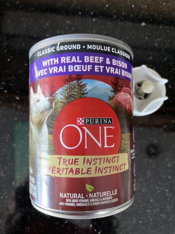 Photo - commentaire&nbsp;5.