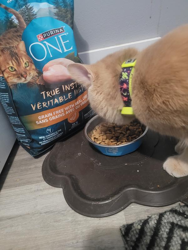 She loves chicken flavour