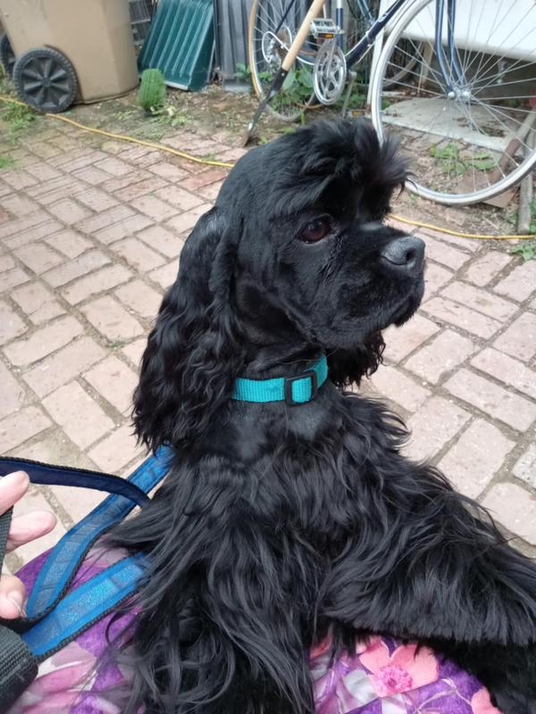 Abby was second to finish her title.