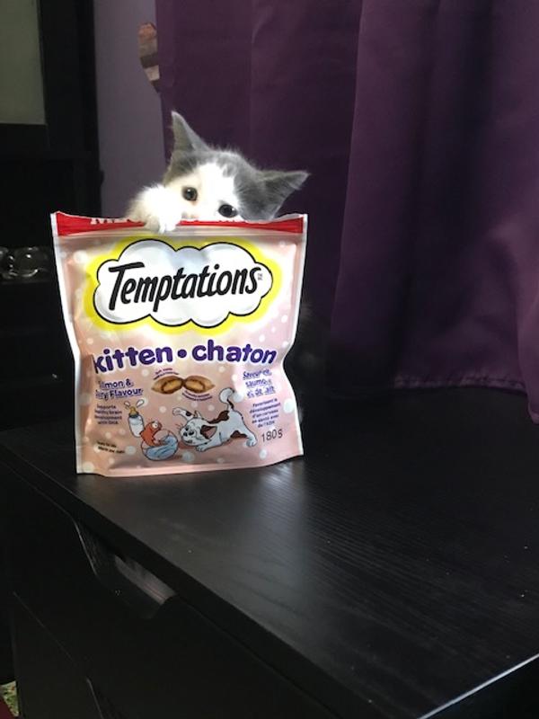 Photo - commentaire&nbsp;8.