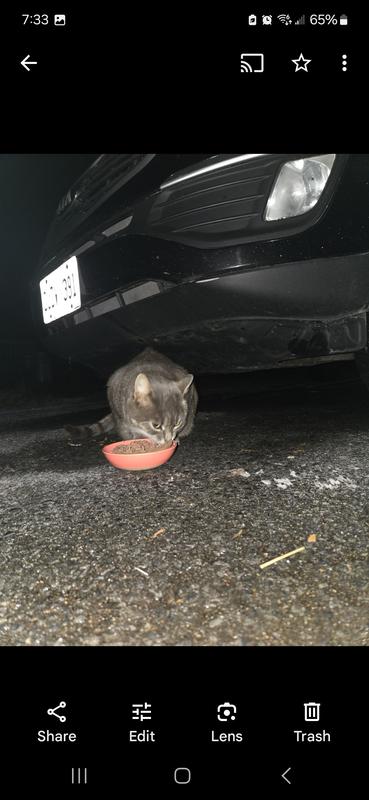 Photo - commentaire 6.