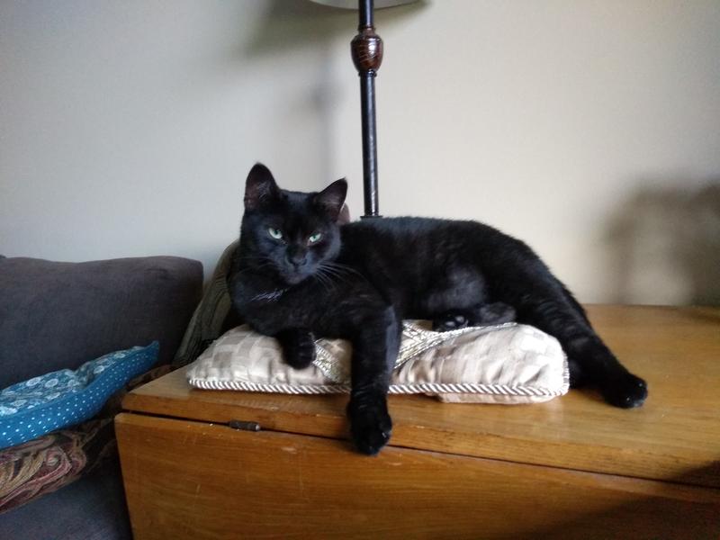 Java