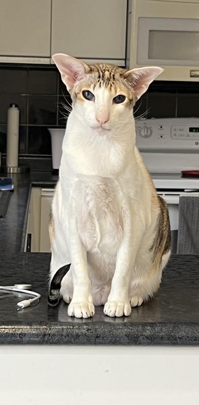 My little girl, Ti Klipp