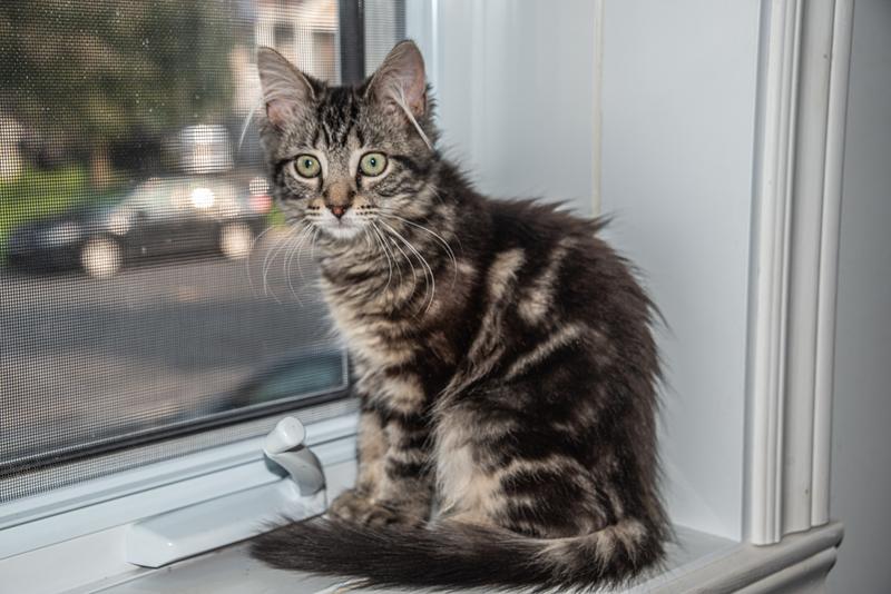 Mon beau Roméo qui adore vos gâterie