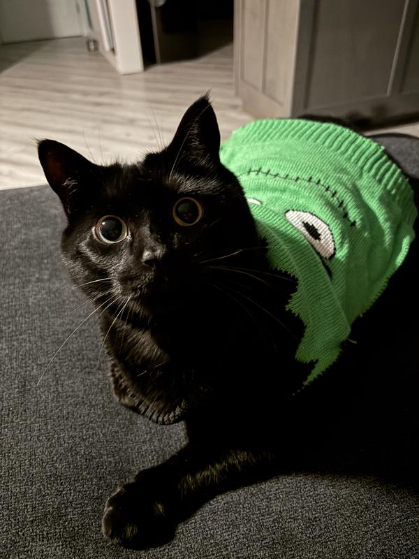 Big fan of this food!