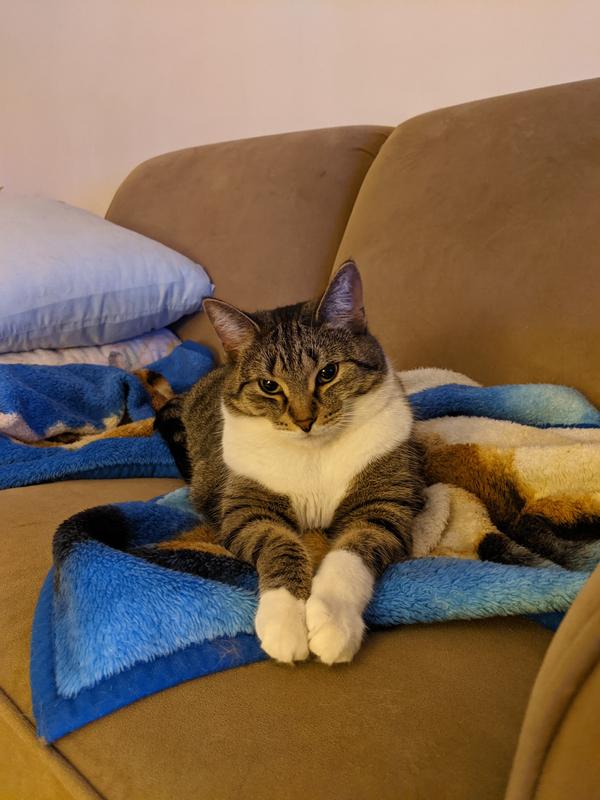 Tabitha