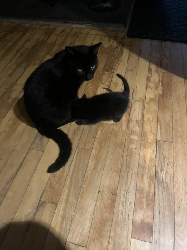 Même les petits trouve leur appétit.