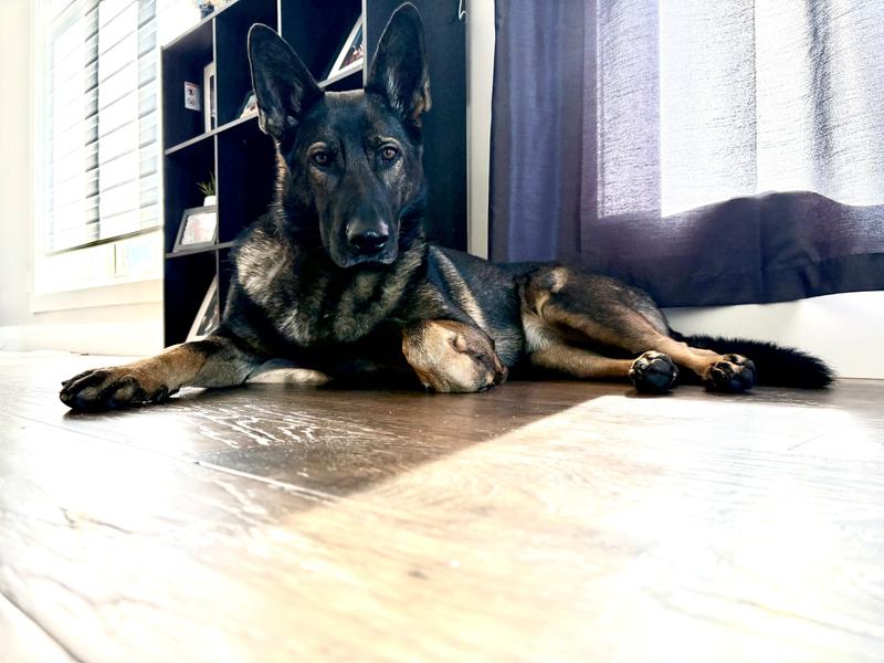 Photo - commentaire&nbsp;6.