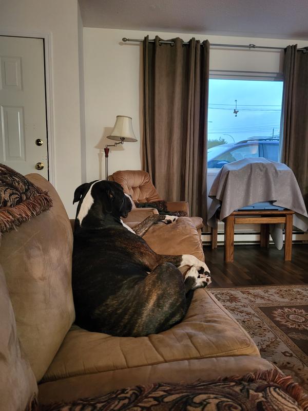 Photo - commentaire&nbsp;5.