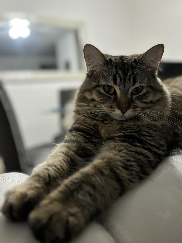 Photo - commentaire 6.