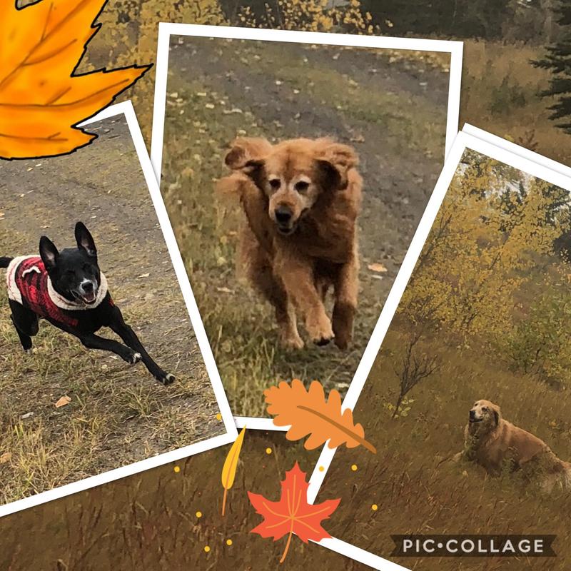 My 3 Amigos
