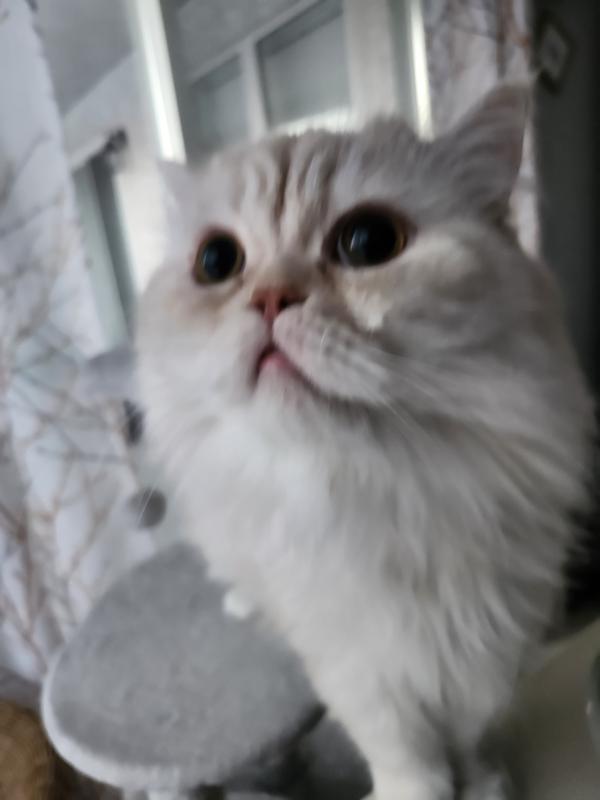 Is it time for my Broths?