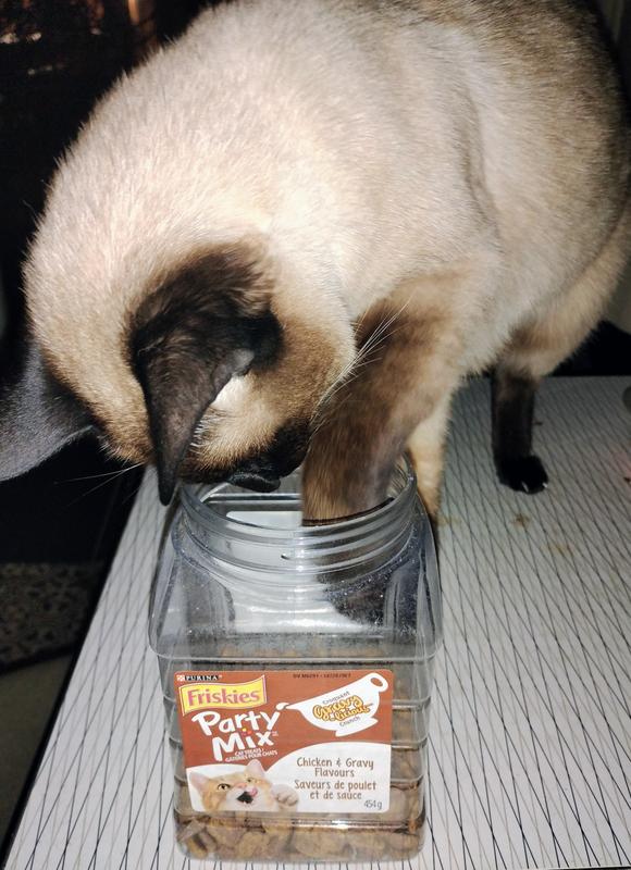 She can hardly wait for treats!