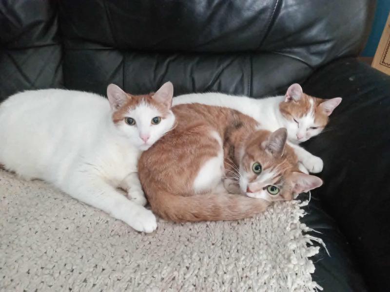 Full bellies nap time