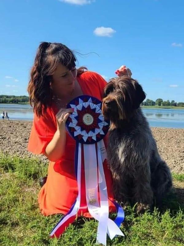 Best in Specialty Show Pro Plan Dog