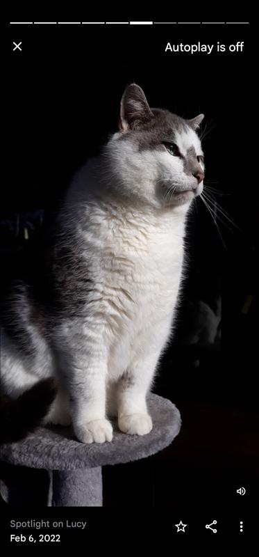 Be sure to capture my good side lol