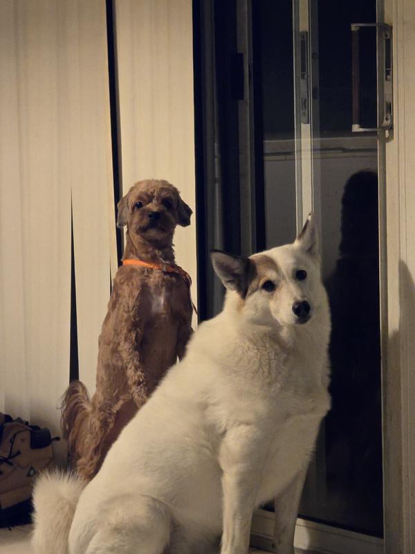 Waiting to go outside!