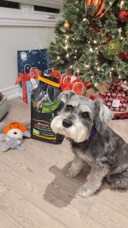 Best Christmas Present!