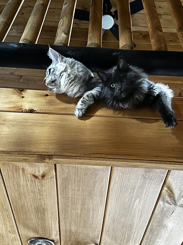 Chillin
