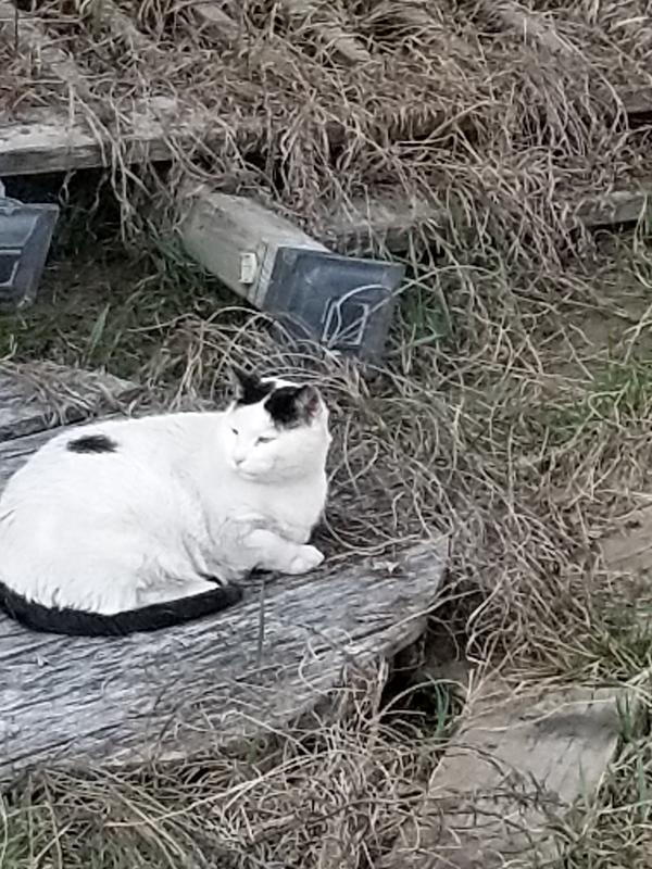 Interested in Life again