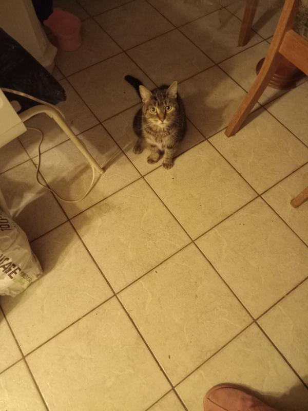 Photo - commentaire&nbsp;1.