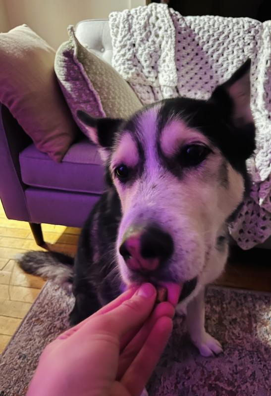 Gotta get every last chunk