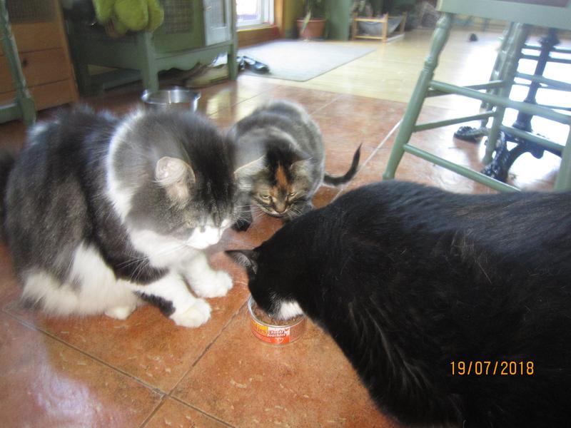 Partage de leur plat préféré