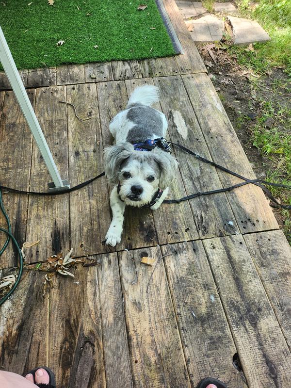 15 years young and going strong