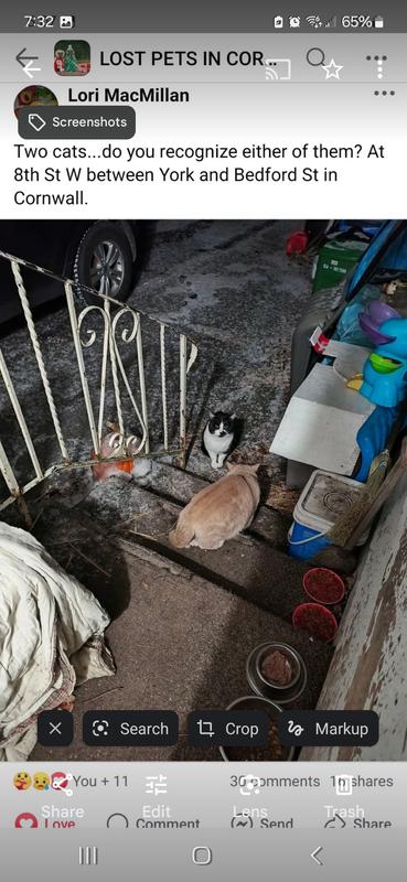 Photo - commentaire 7.