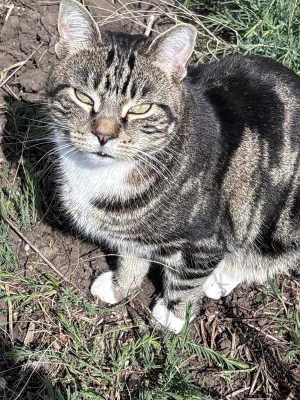 Photo - commentaire&nbsp;2.