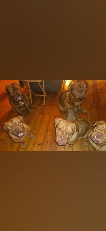 She has Purina treat