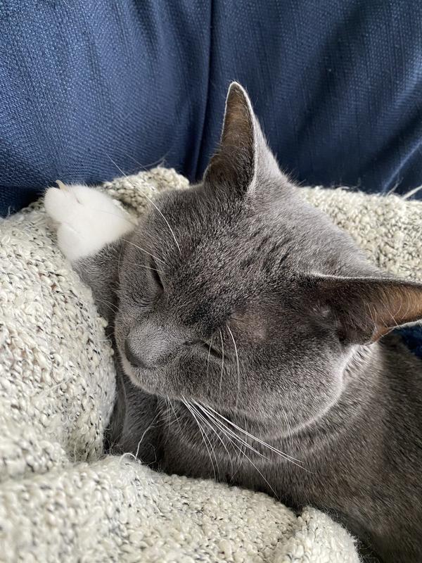 Snuggling after dinner