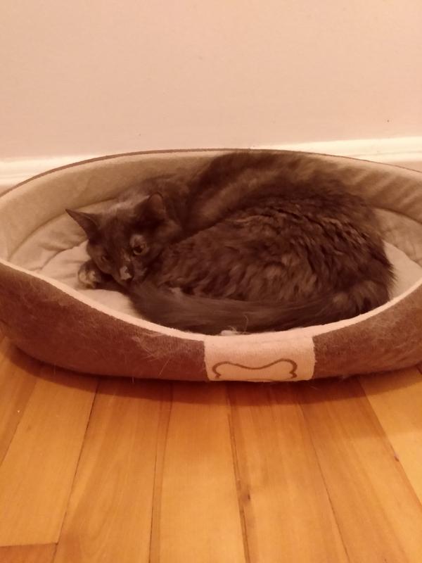 Photo - commentaire&nbsp;6.