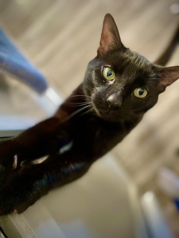 What’s for breakfast?