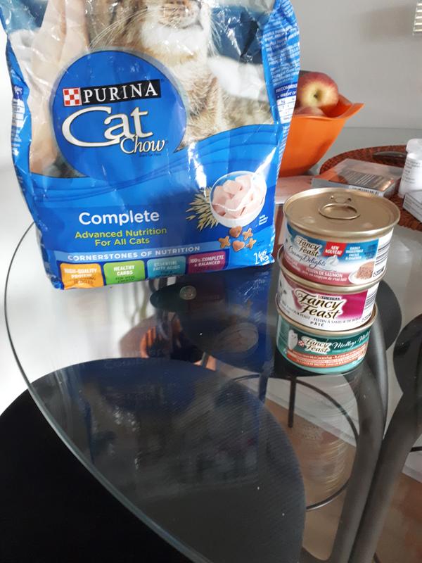 Photo - commentaire&nbsp;6.