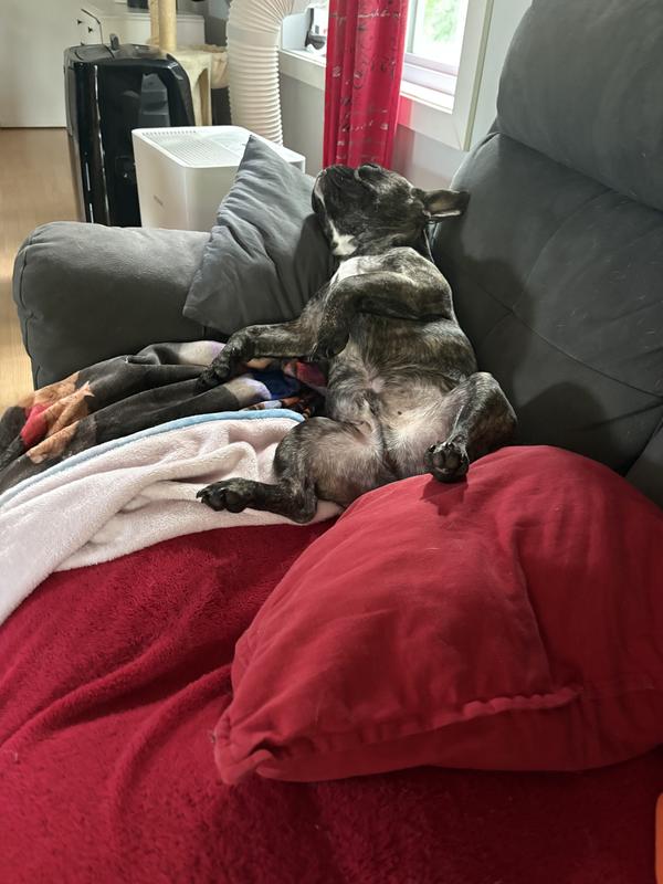 Sa dort bien avec le ventre plein