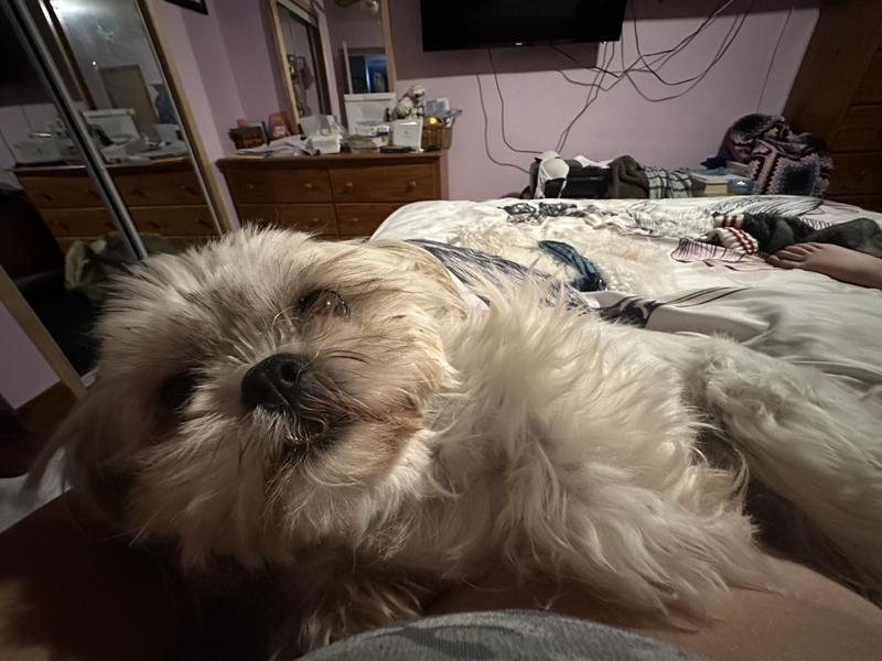 Photo - commentaire&nbsp;2.