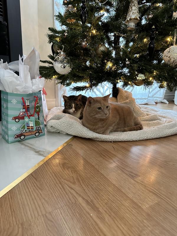 Photo - commentaire 5.