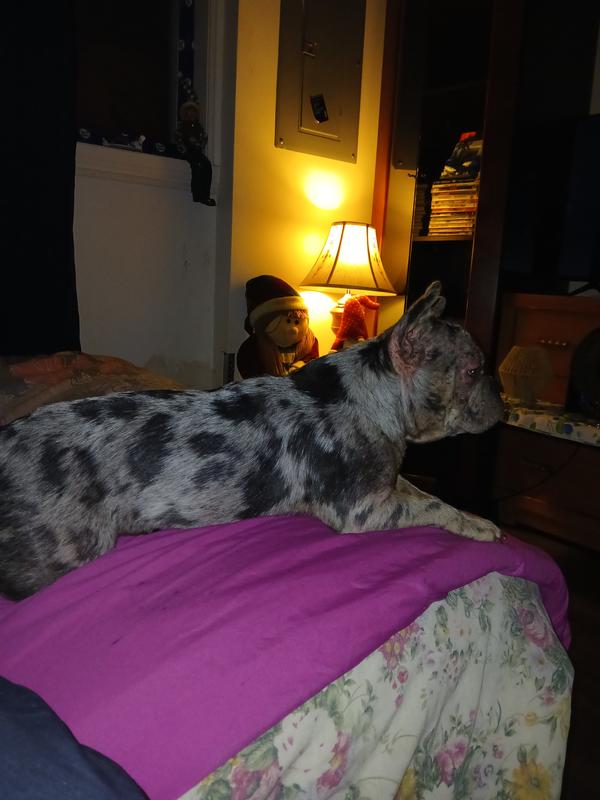 Photo - commentaire 4.