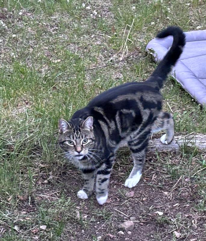 Photo - commentaire&nbsp;3.