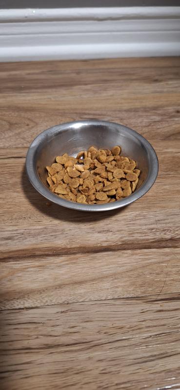 Photo - commentaire&nbsp;1.