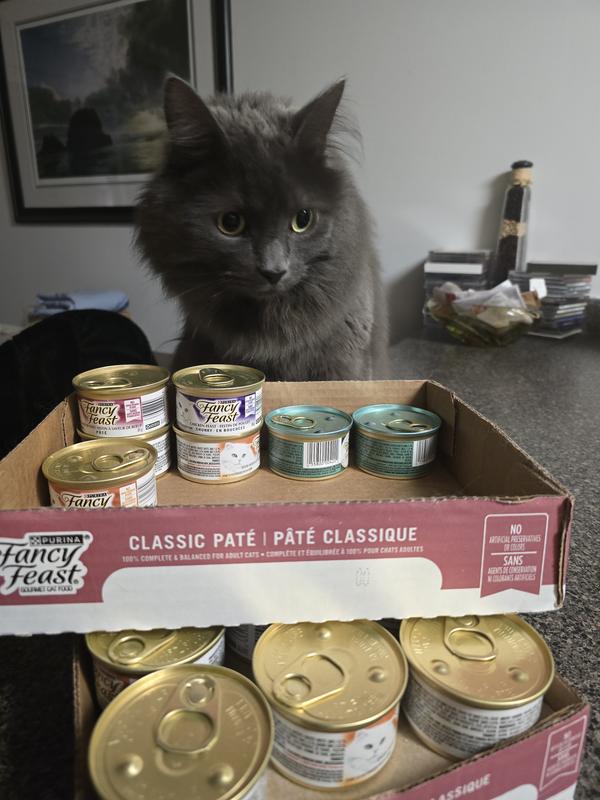 One of my fancy feast lovers