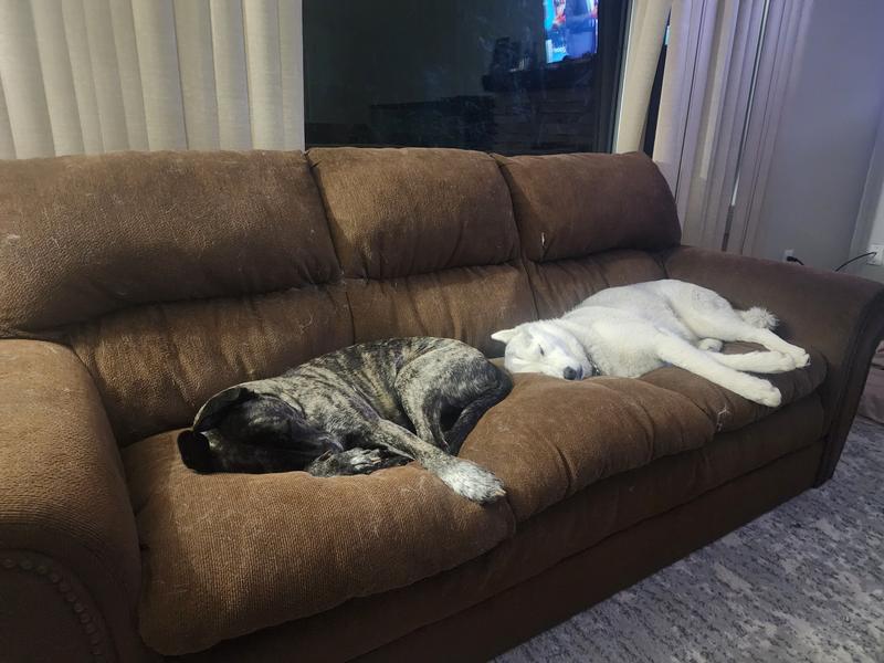 Photo - commentaire&nbsp;4.