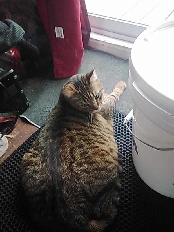 Photo - commentaire&nbsp;6.