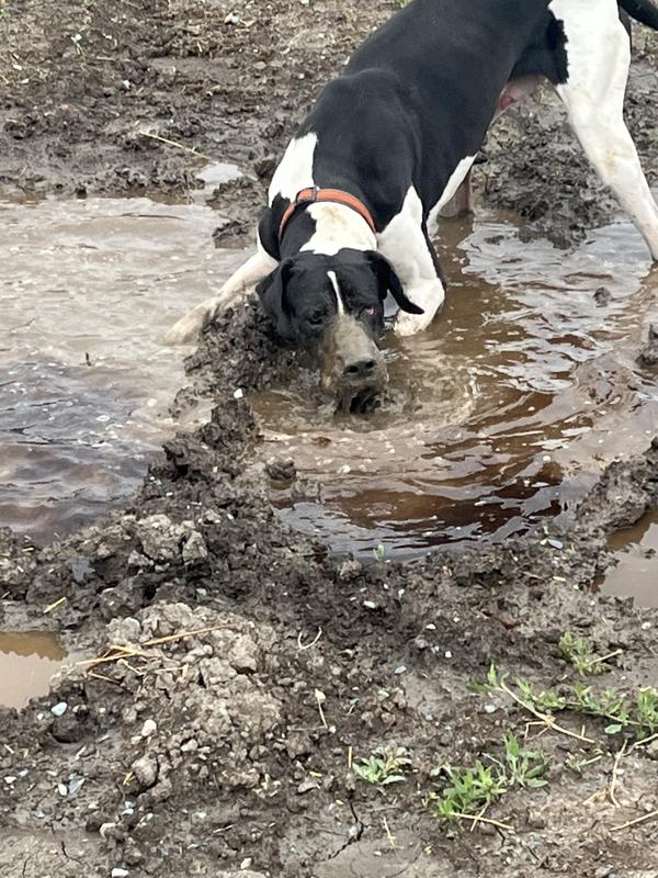 Spencer loving the mud