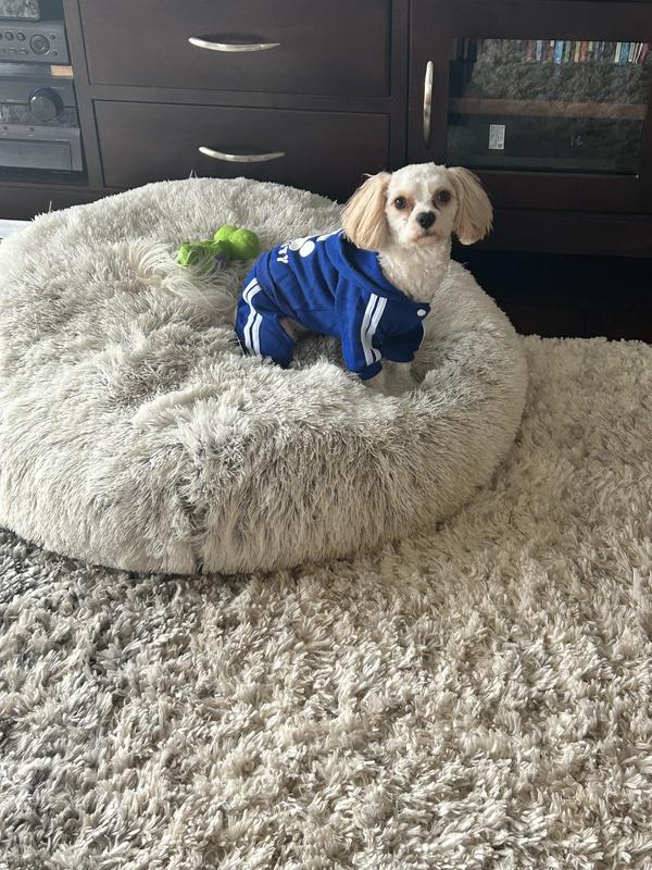 Oh my gosh “ Josh”