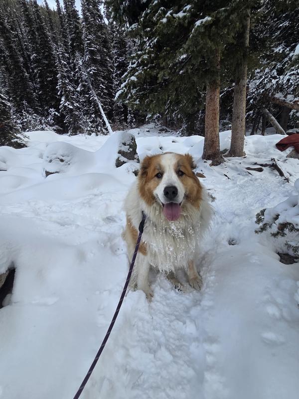 Hiking in the mountains!